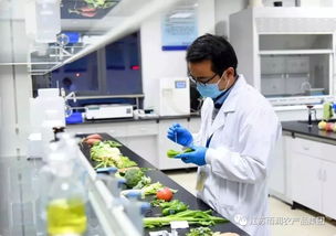 給力！2019全國農(nóng)業(yè)產(chǎn)業(yè)化龍頭企業(yè)500強發(fā)布，徐州這家企業(yè)憑借檢驗檢測服務(wù)上榜